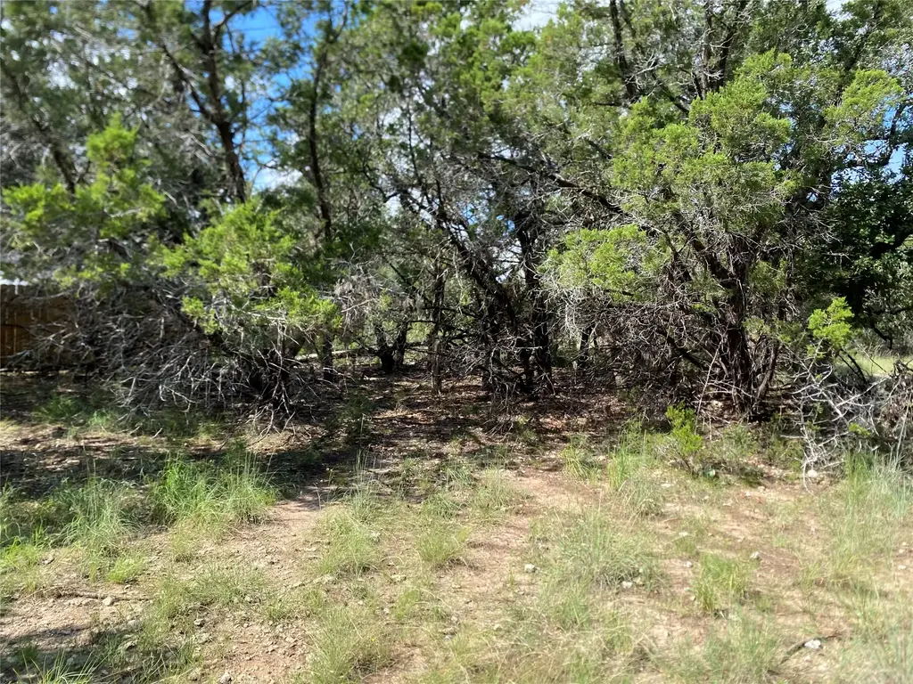 21105 Santa Rosa Avenue, Lago Vista