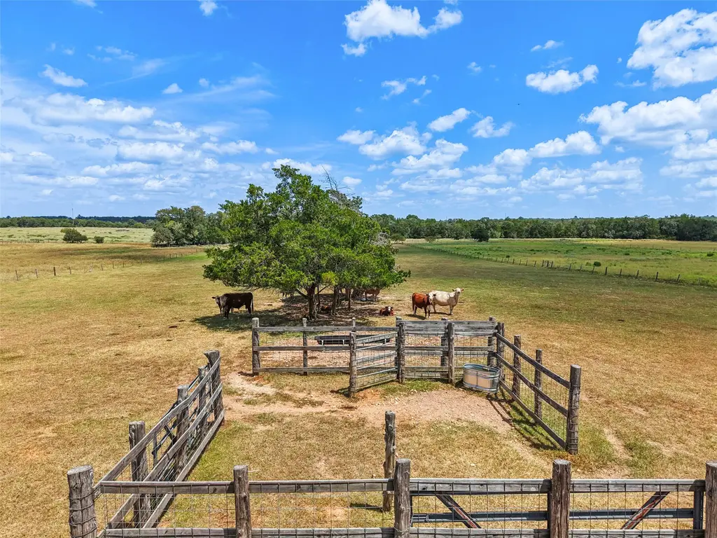 372 Hofferek Road, Rosanky