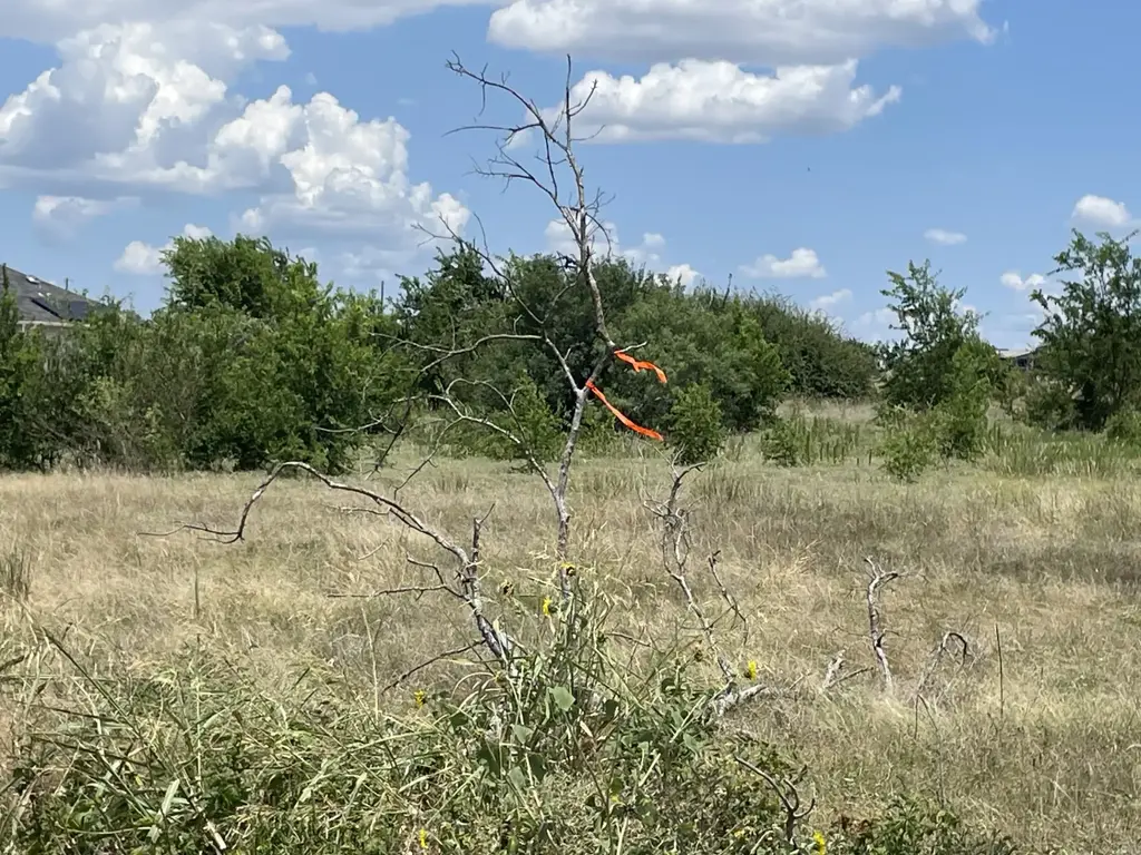 Lot 8 Evangeline Lane, Hutto