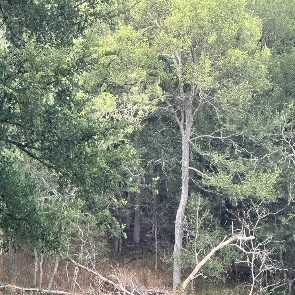 Lot 676 Kaukonahua Lane, Bastrop