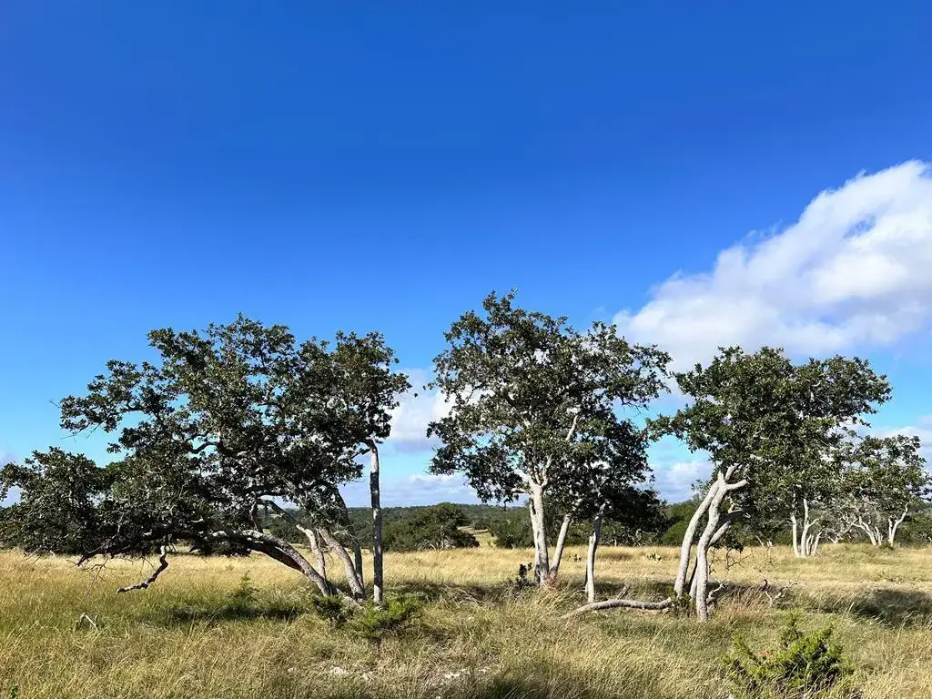 Lot 41 Buckskin Path Path, Fredericksburg