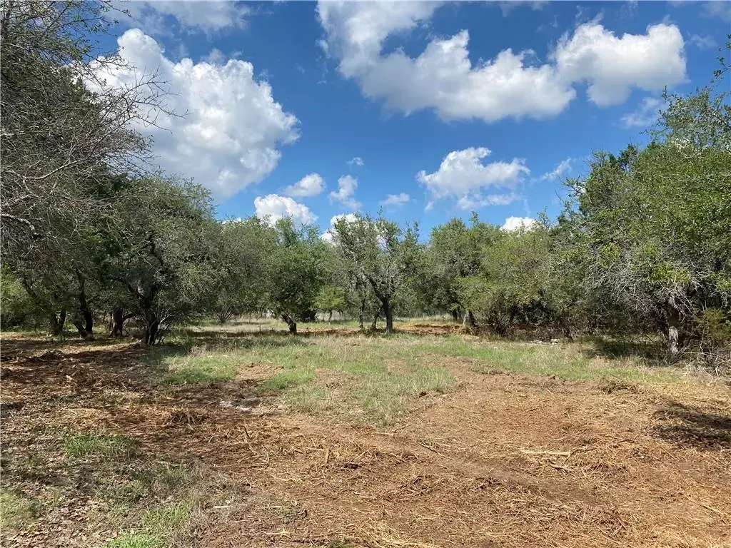 33400 Brooks Ranch Road, Austin