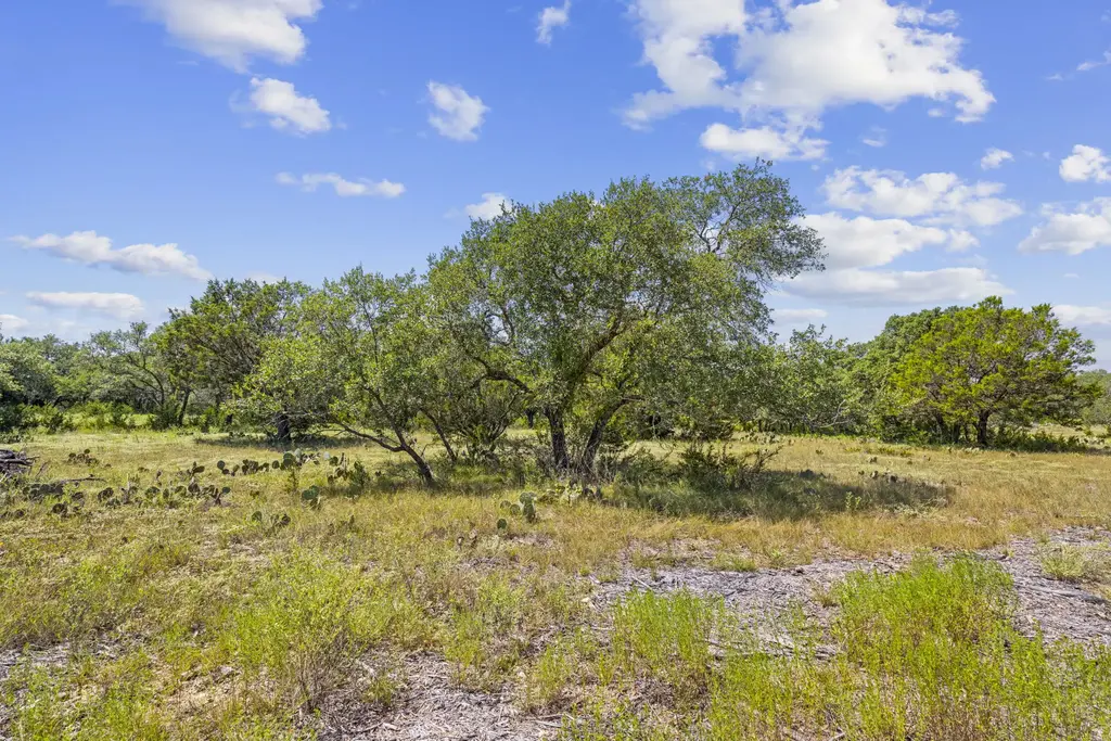 Lot 170 Heartleaf Drive, Lampasas