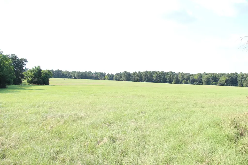None County Road 3410, Crockett