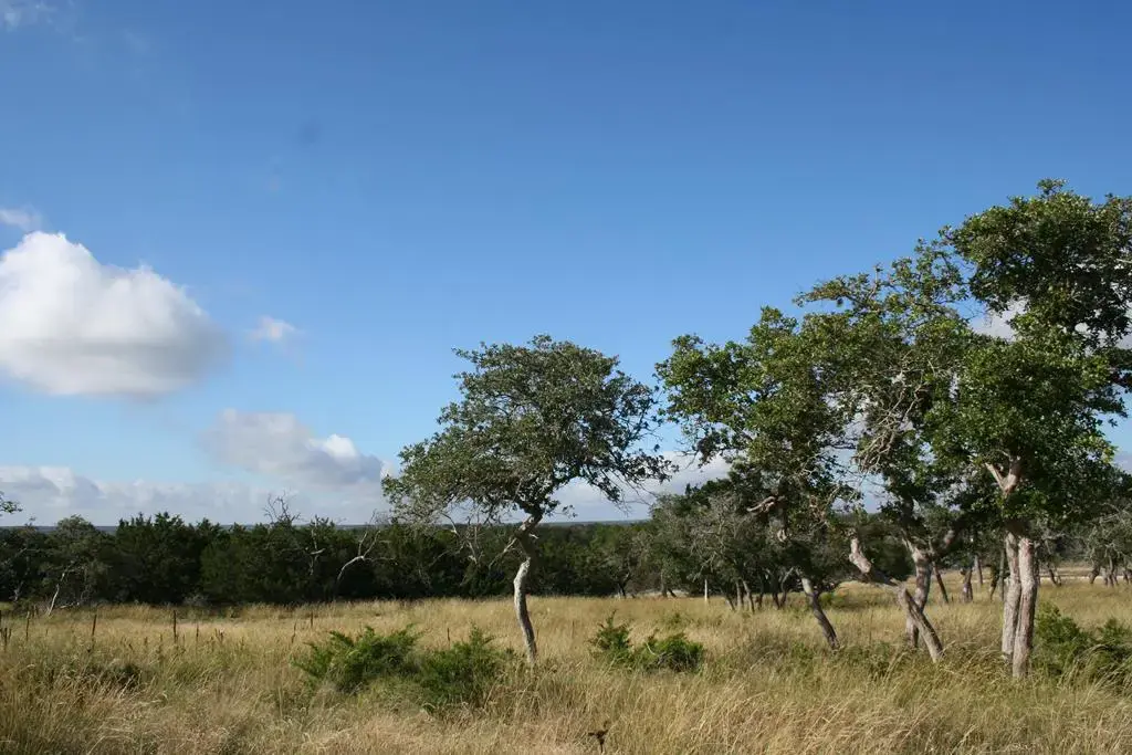 Lot 3 Oakwater Drive, Fredericksburg