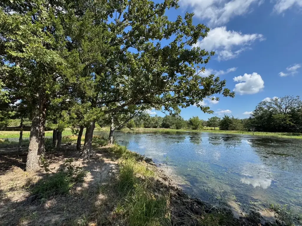 13115 Schoenemann Road, Carmine