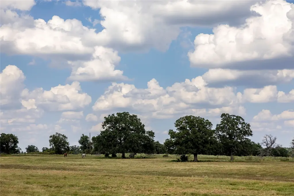 Tbd County Road 315, Lexington
