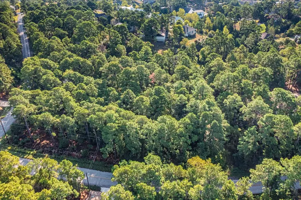 Akaloa Drive, Bastrop