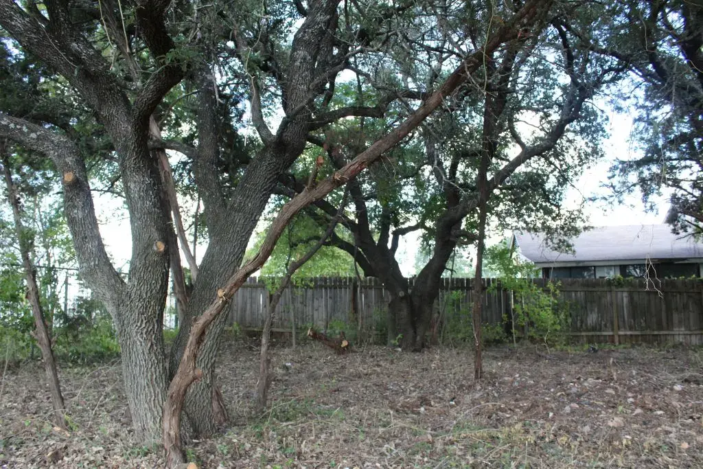 11502 Bee Street, Jonestown