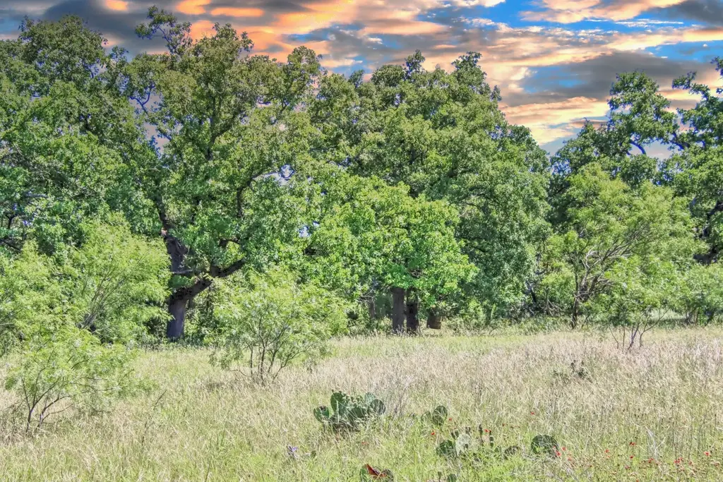 Lot 4 Rm 1323, Willow City
