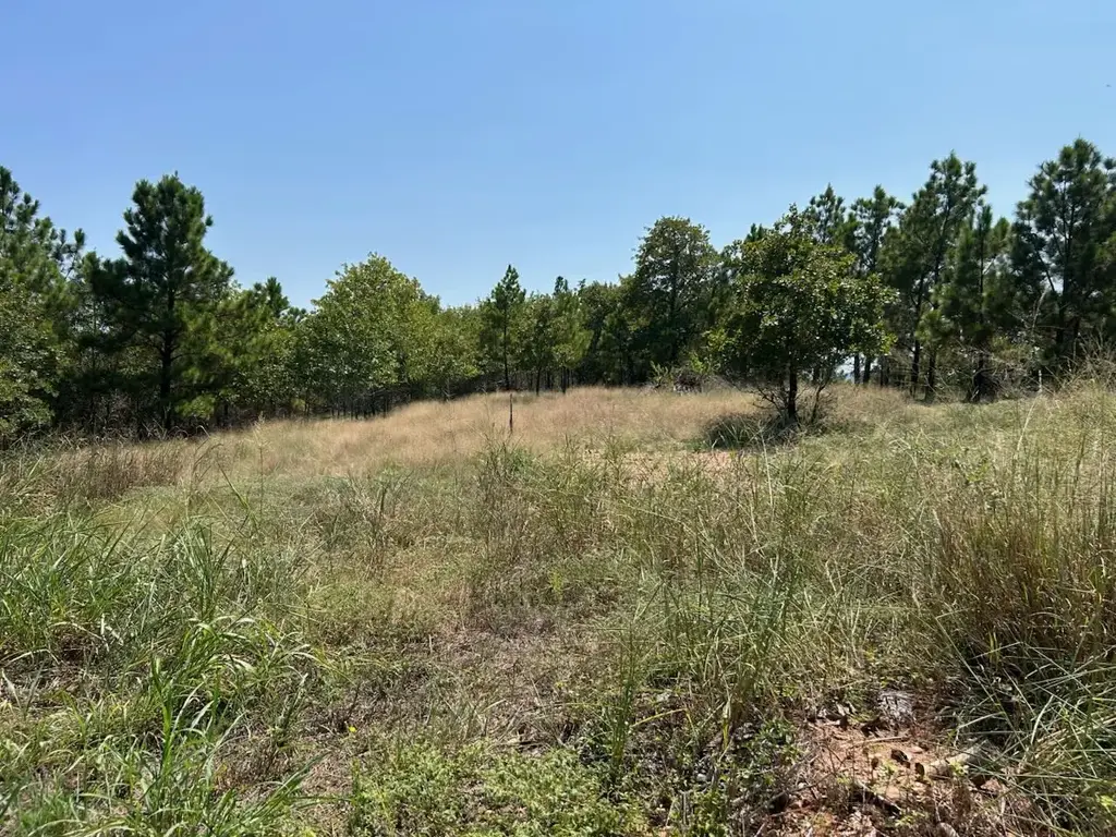 N/A, Bastrop