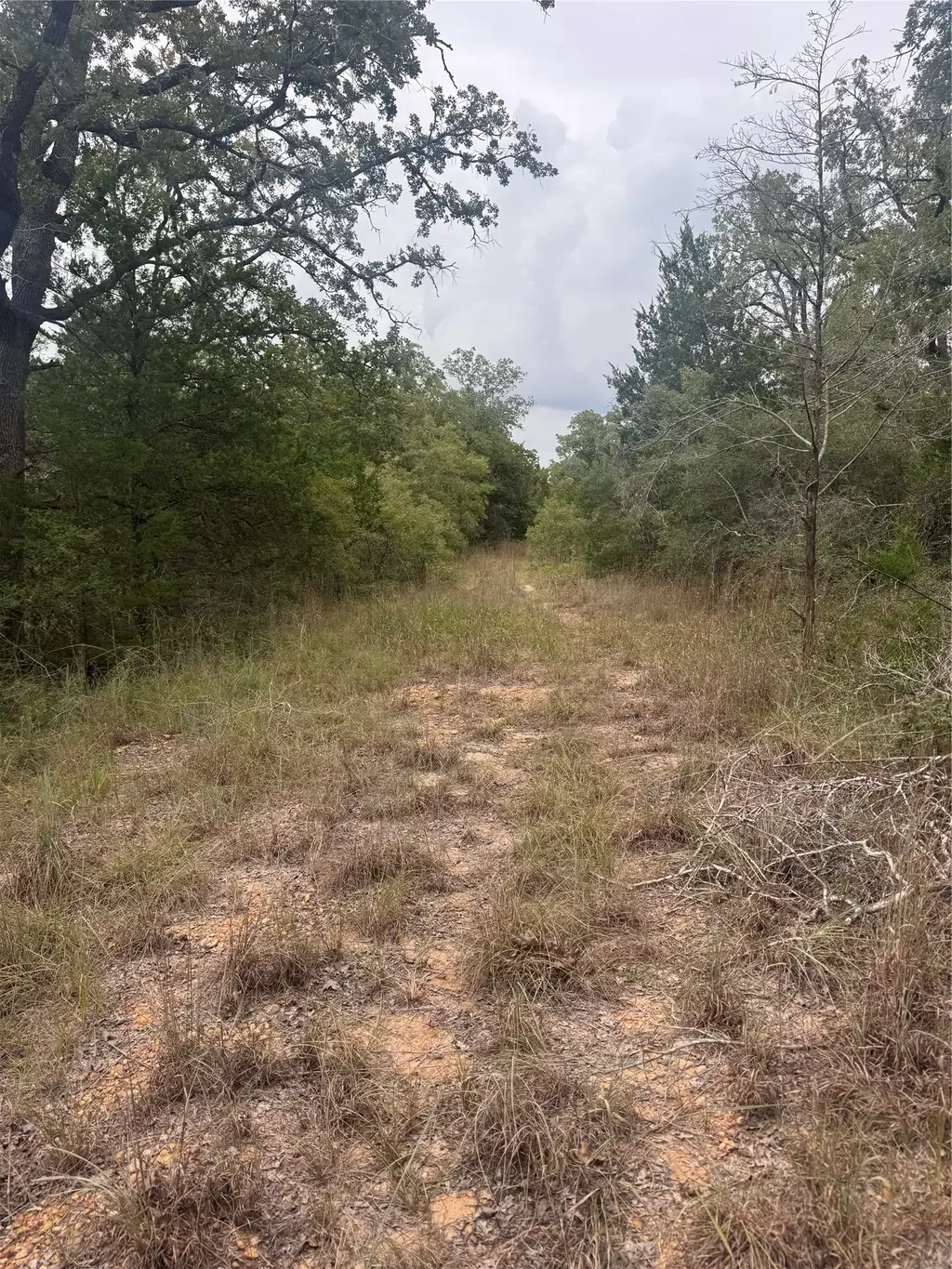 Lot 6 Spruce Street, Paige