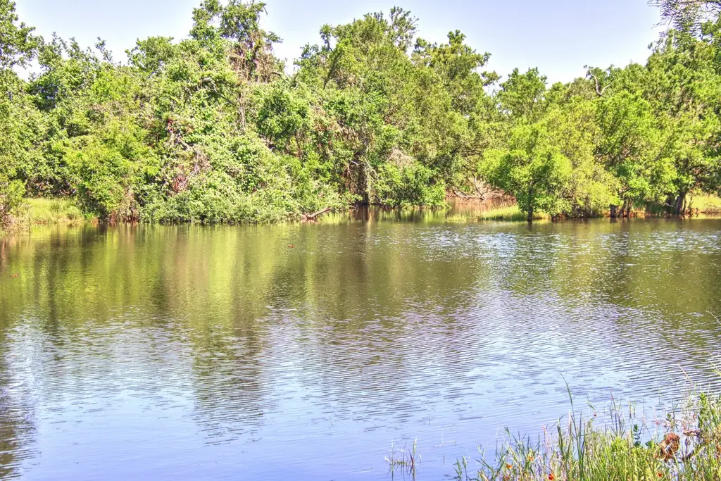 Lot 5 Rm 1323, Willow City