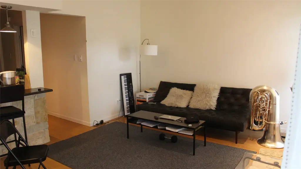 612 Park Place 302, Austin