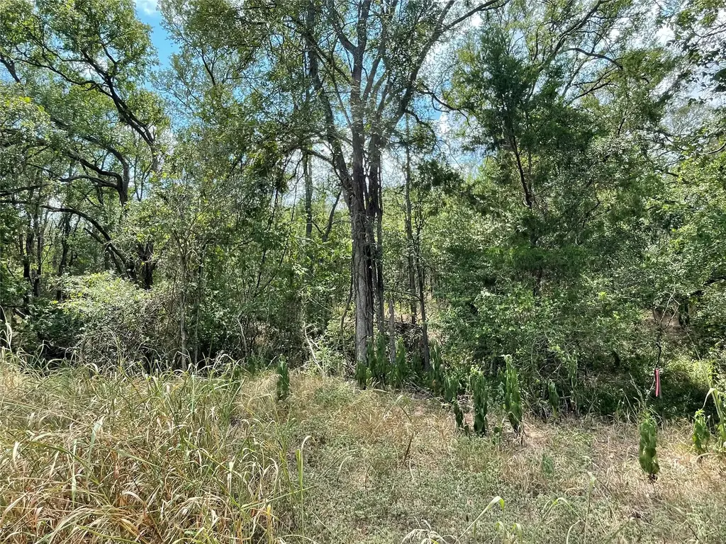 105 E Waiehu Ln Lane, Bastrop