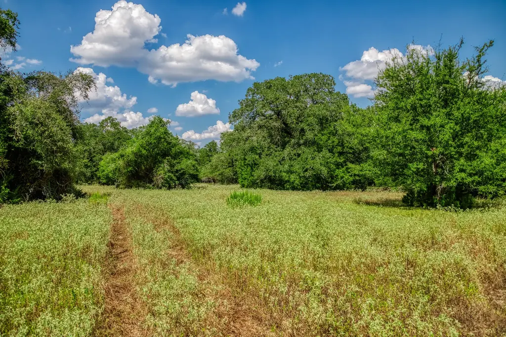 8595 County Road 324, Caldwell