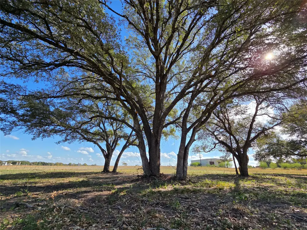 1109 E Old Hallettsville Road, Flatonia