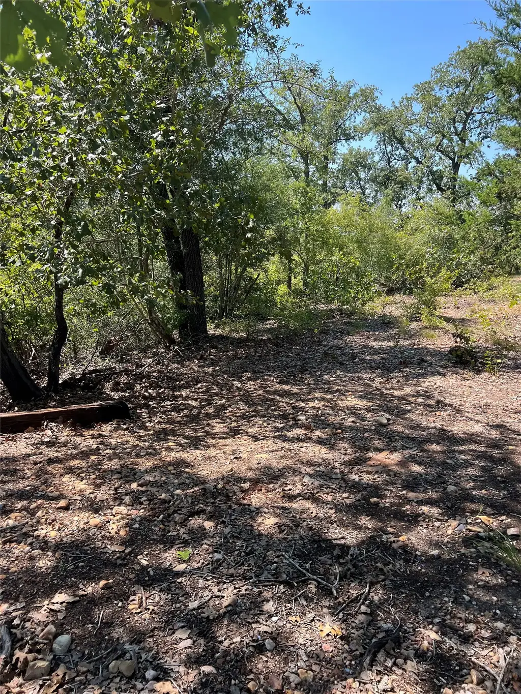 Tbd Lakeshore Road, Bastrop