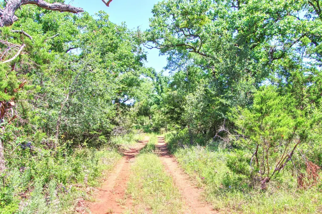 Lot 6 Rm 1323, Willow City