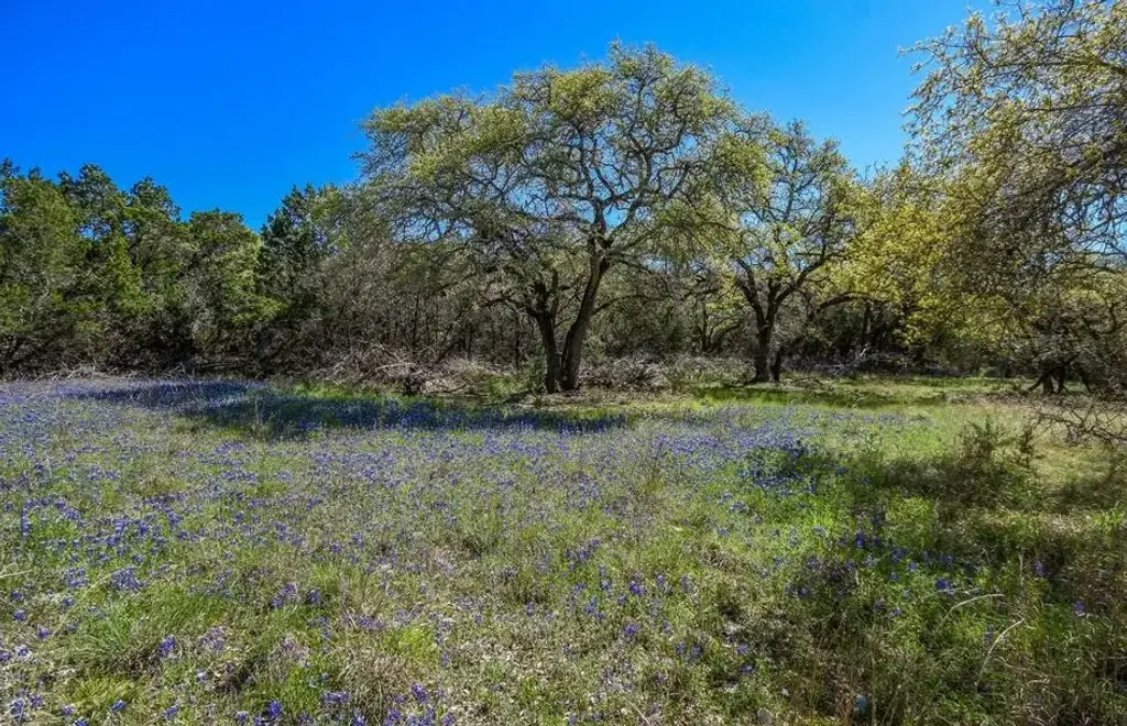 16205 Big Oak Circle, Leander