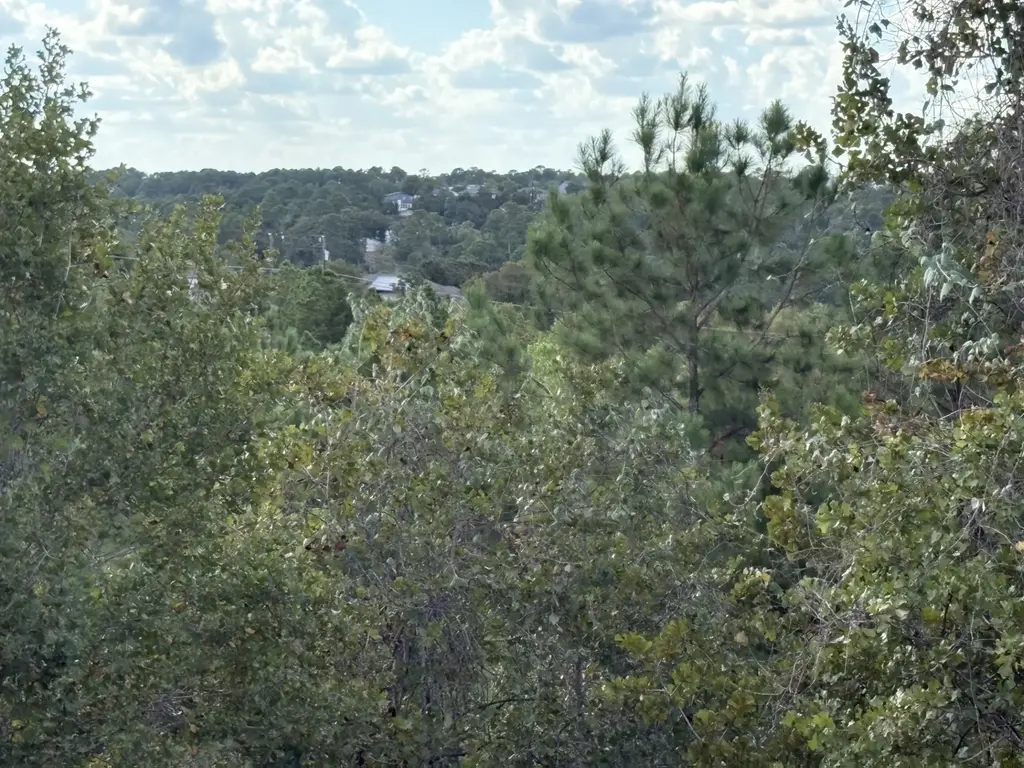 Tbd Lot 35 Pinecrest Drive, Bastrop