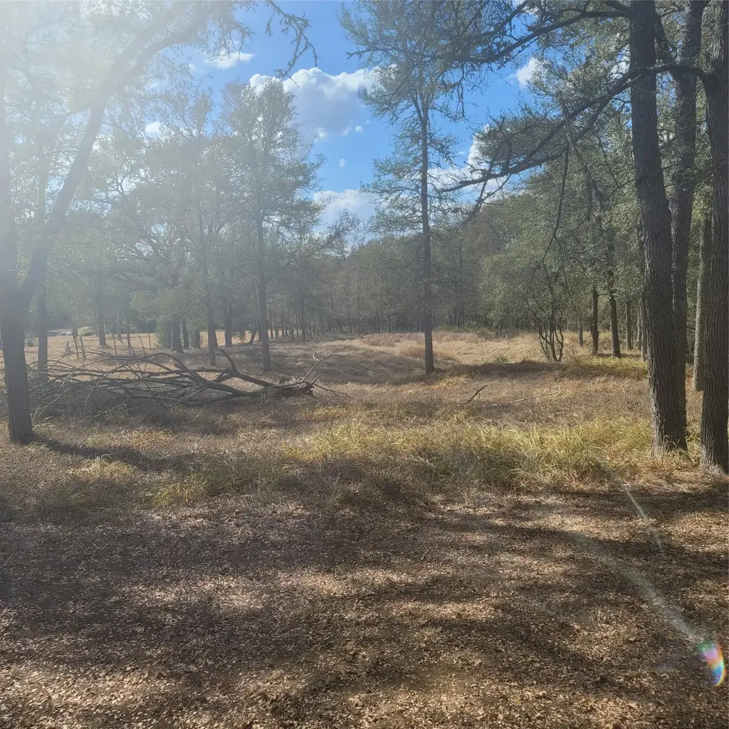 2492 Fm 1704, Elgin