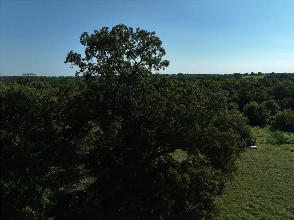 Tbd Lot 5 Randermann Road, Brenham