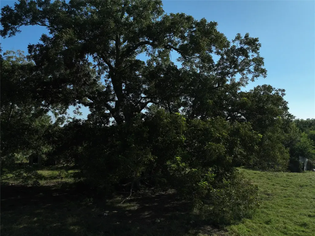 Tbd Lot 2 Randermann Road, Brenham