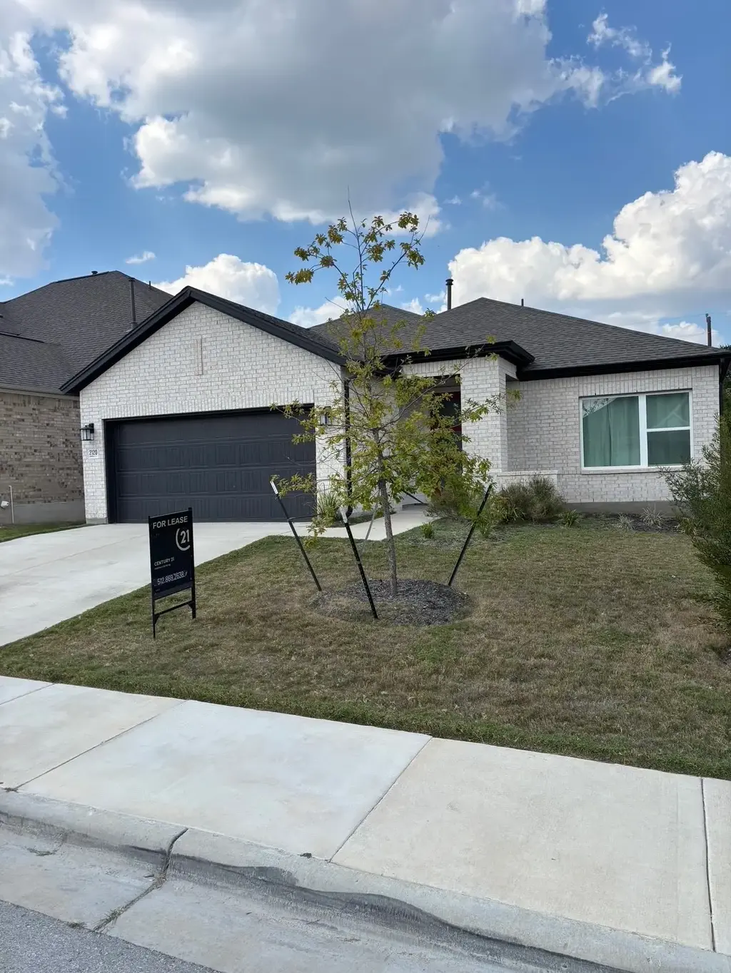 2120 Little Snake Way, Georgetown