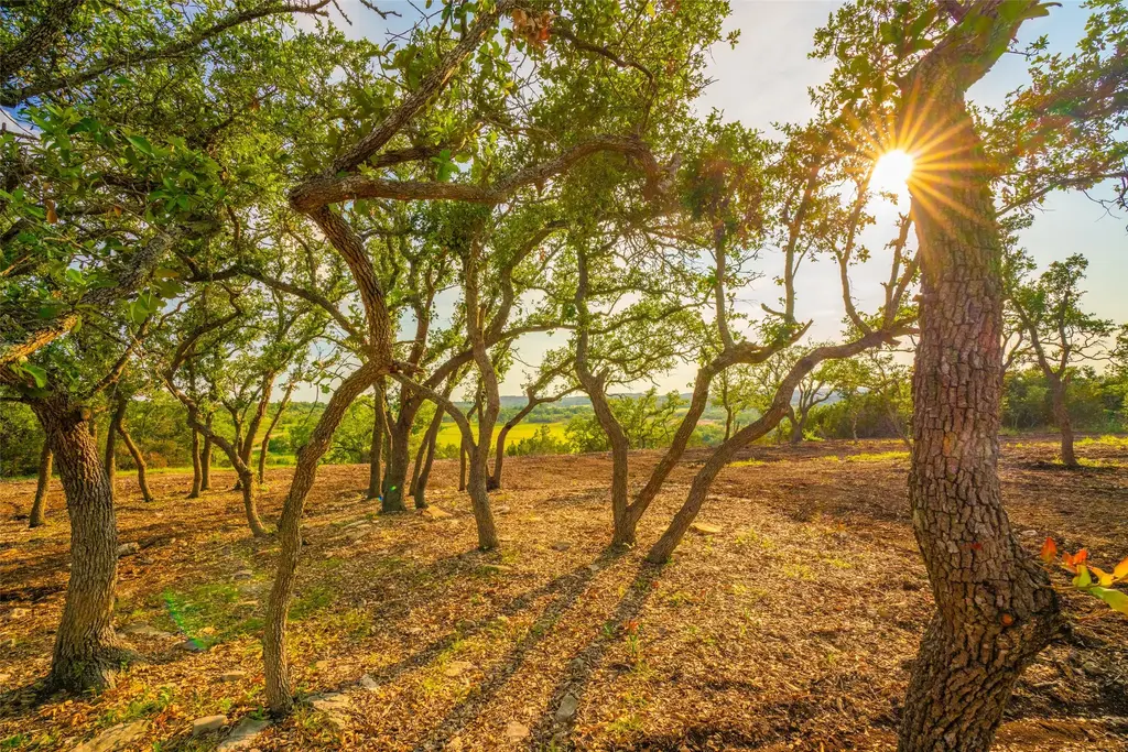 N/A, Dripping Springs
