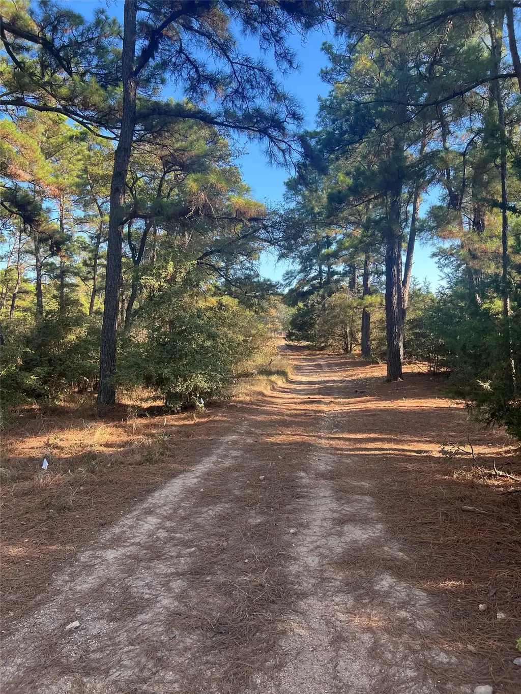 Lot 43 Pine Lodge Drive, Bastrop