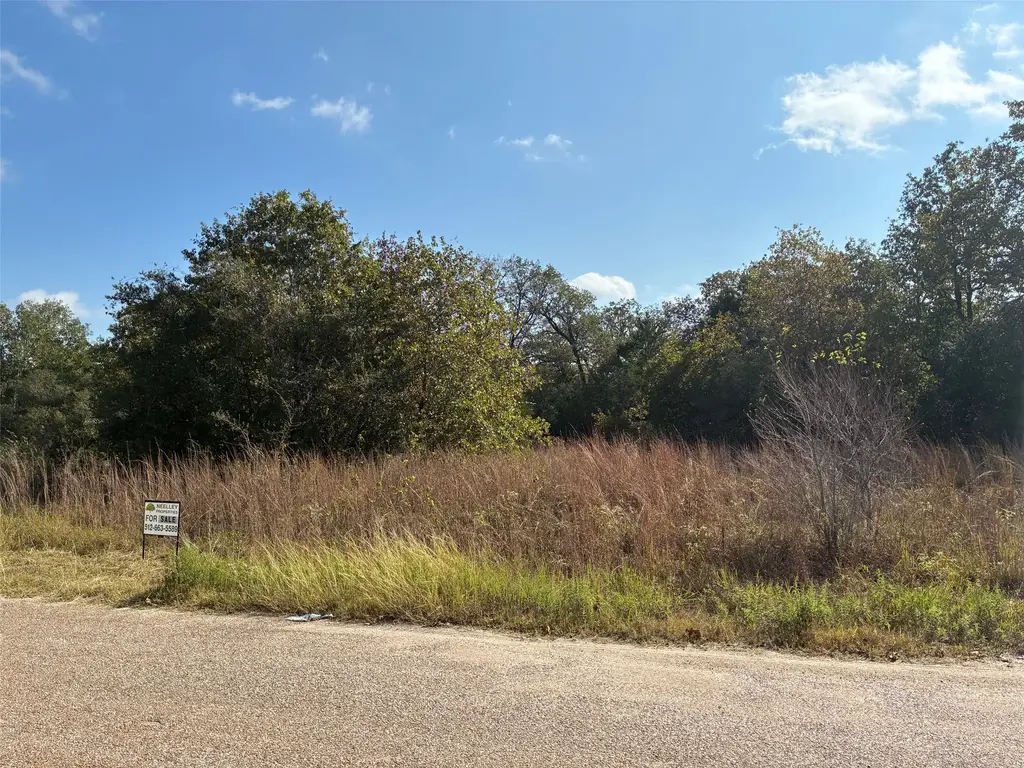 167 Blanket Flower Drive, Bastrop