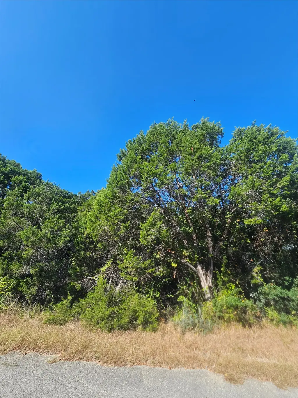 7406 White Oak Drive, Lago Vista