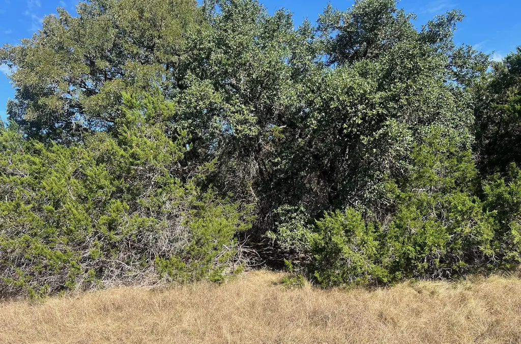Tbd Narrows Road, Blanco