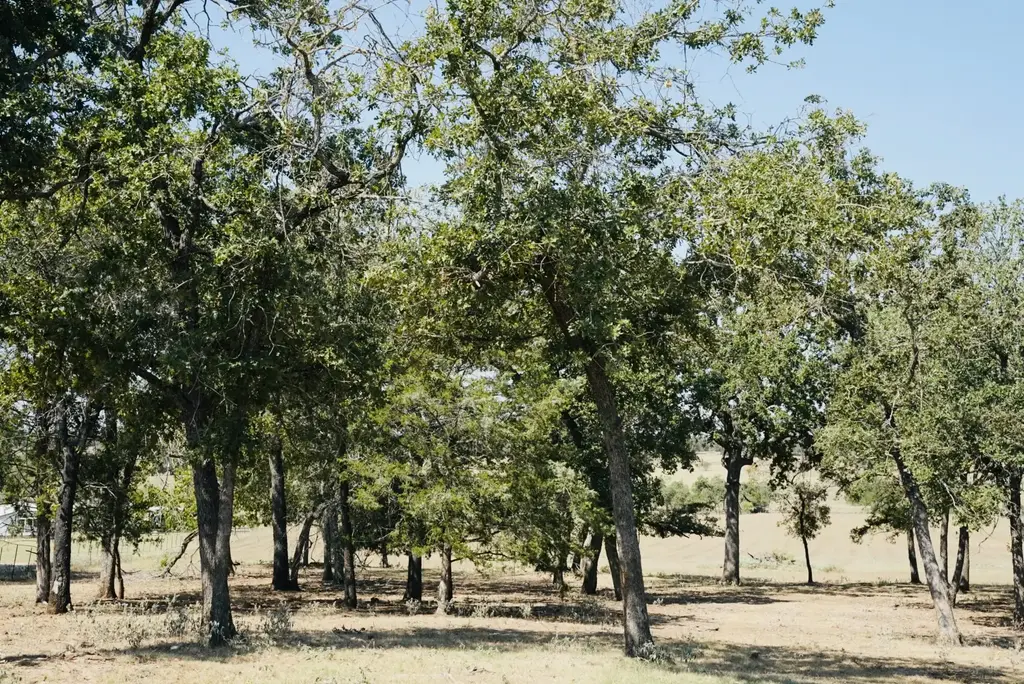 640 County Road 475 Road, Luling