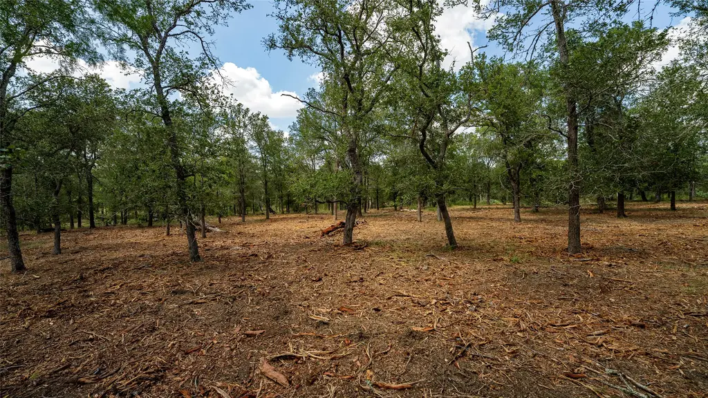 3980 (tract 5) Fm 3158, Dale