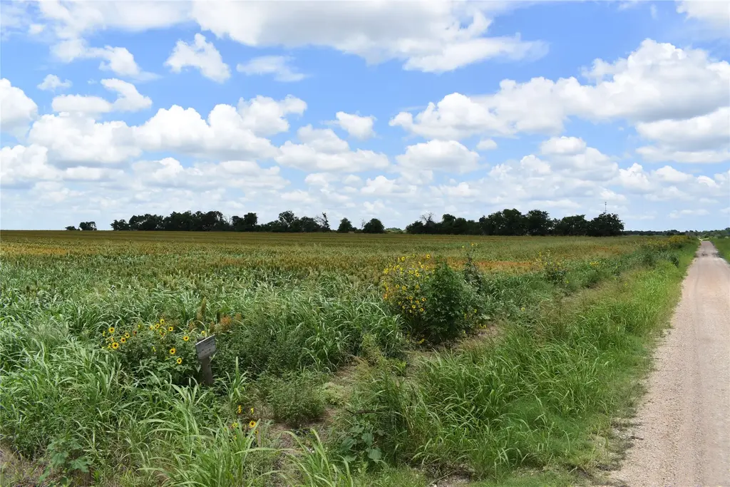 Tbd County Road 109, Buckholts