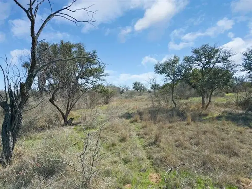 Tbd Delta Drive, Llano