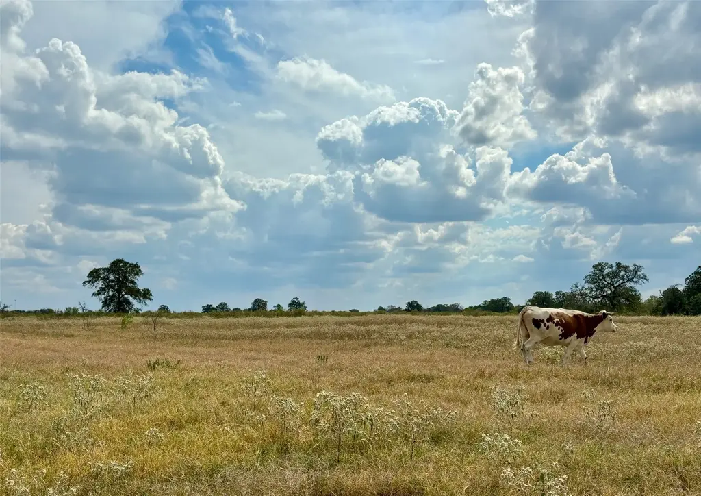 3 Big Sky Ranch Road, Smithville