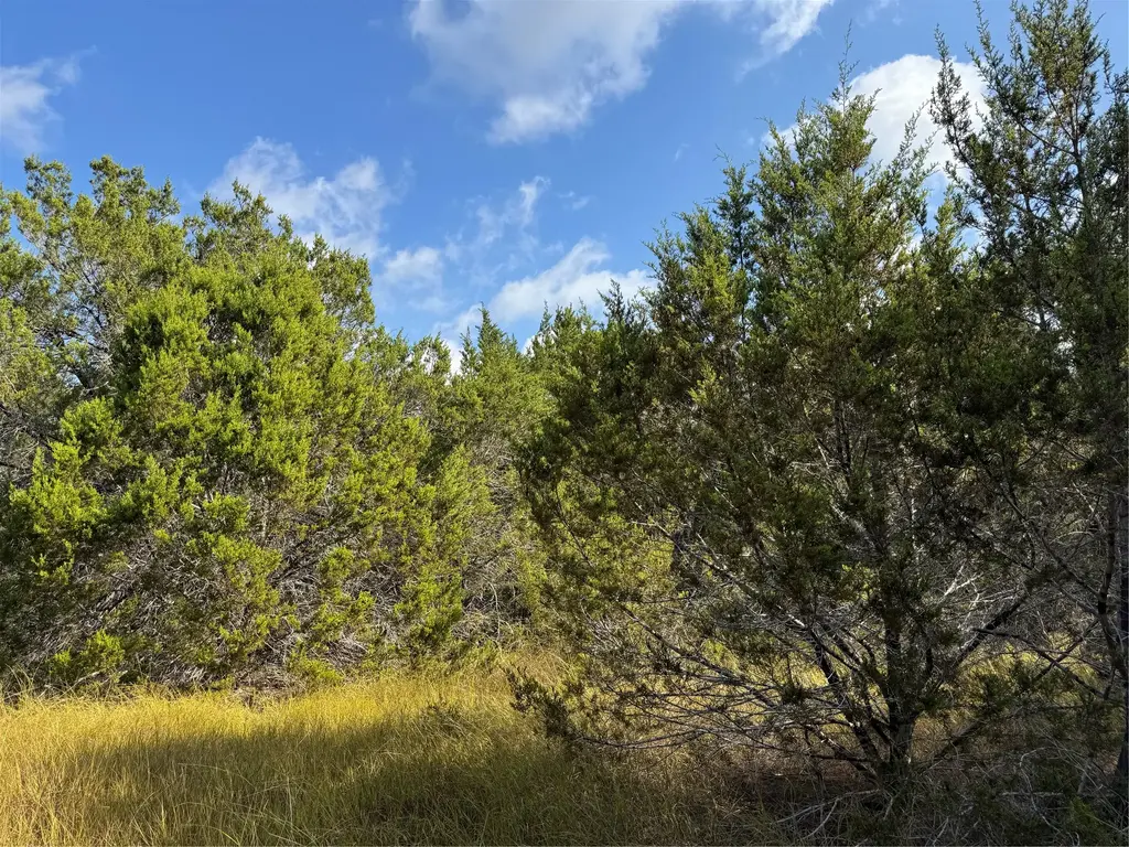 Tbd Cr 304 Road, Bertram