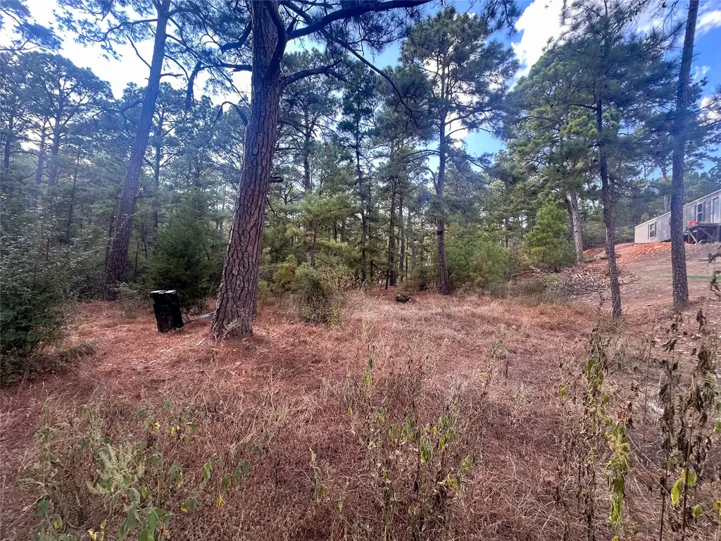 Lot 84 Hill Ridge Drive, Bastrop
