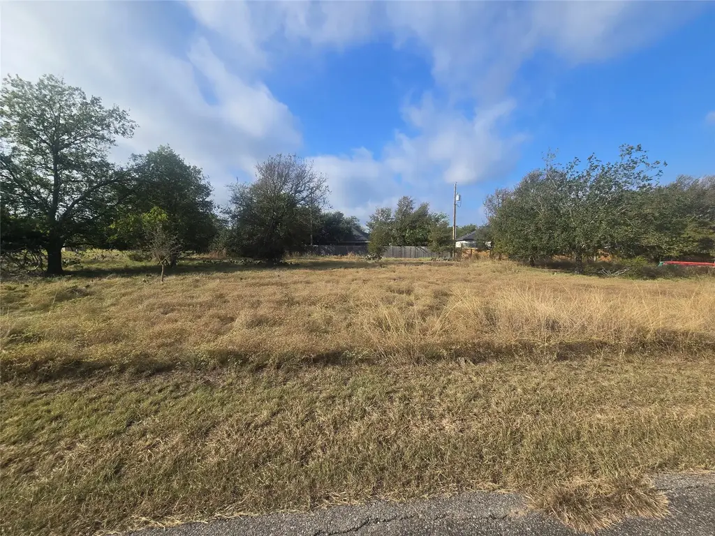 36 Blue Roan Drive, Belton