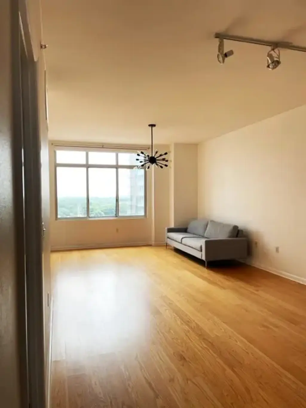 54 Rainey Street 1217, Austin
