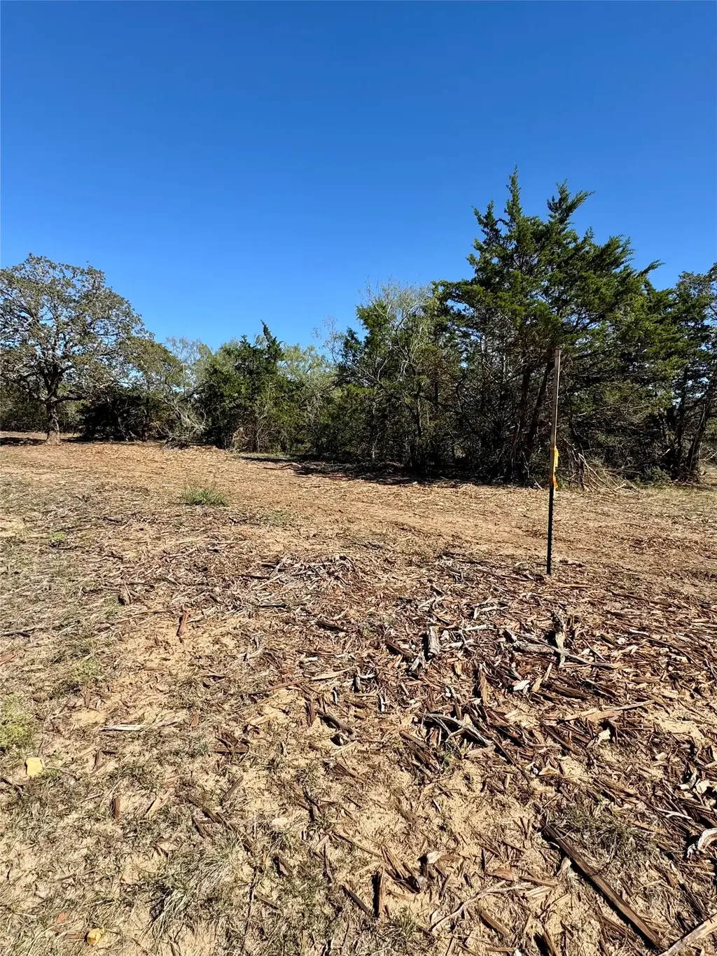 Tbd Lot 4 Patterson Road, Flatonia