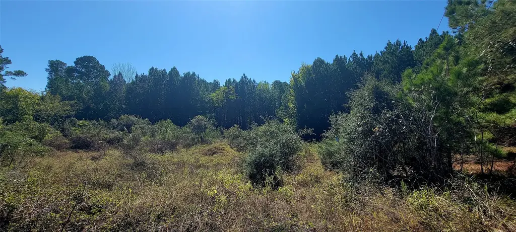 Tbd Alele Drive, Bastrop