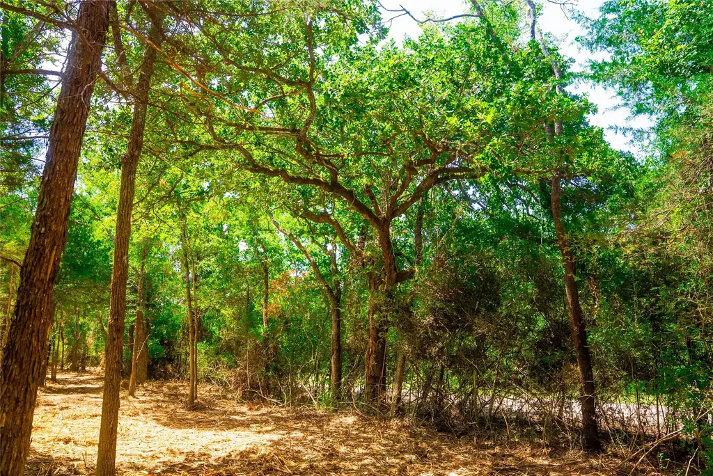12524 Red Hill Road, Hearne