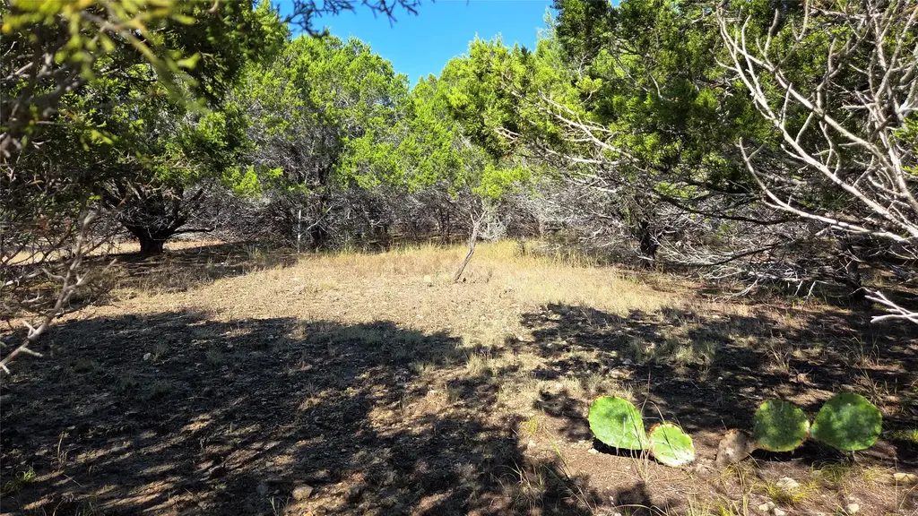 1801 Santa Cruz Circle, Lago Vista
