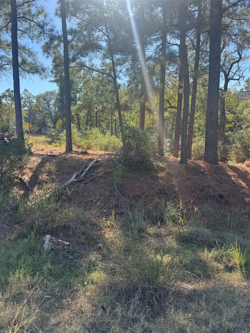 Lot 97 Kaelepulu Drive, Bastrop