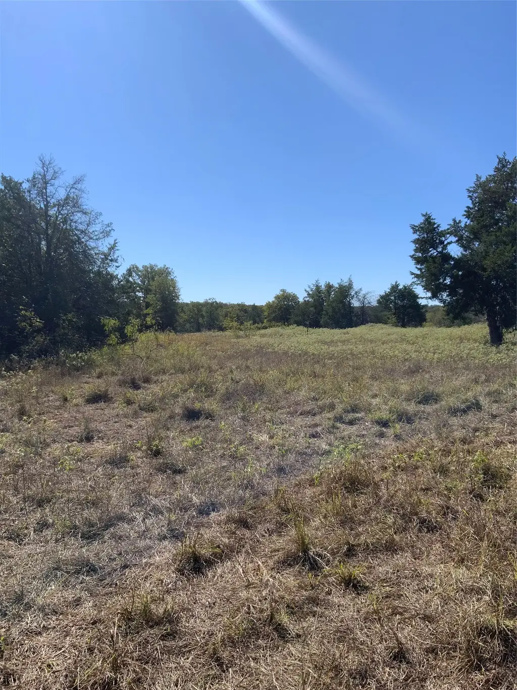 County Road 304, Lexington