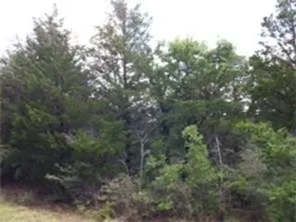 157 Campfire Way, Smithville